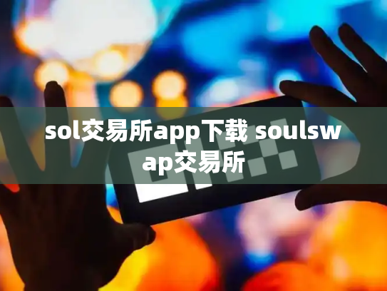 sol交易所app下载 soulswap交易所