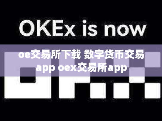 oe交易所下载 数字货币交易app oex交易所app