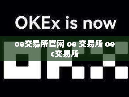 oe交易所官网 oe 交易所 oec交易所