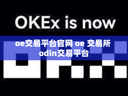 oe交易平台官网 oe 交易所 odin交易平台