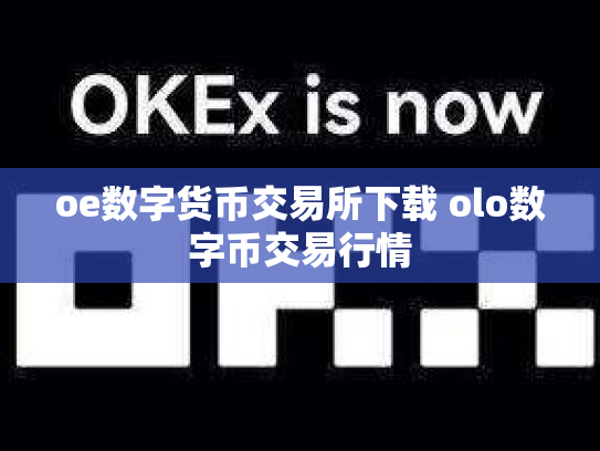 oe数字货币交易所下载 olo数字币交易行情