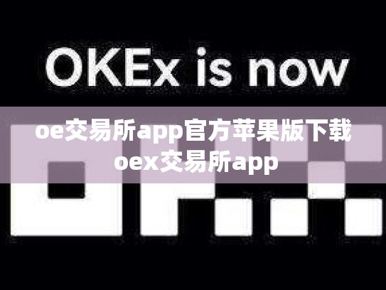 oe交易所app官方苹果版下载 oex交易所app