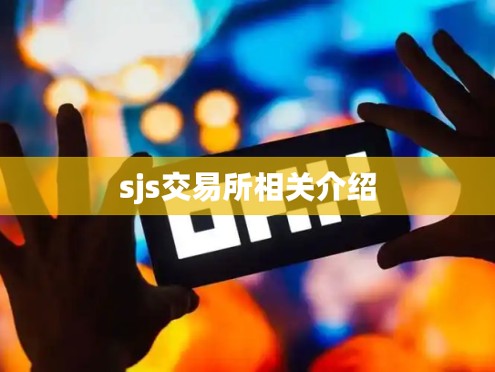 sjs交易所相关介绍