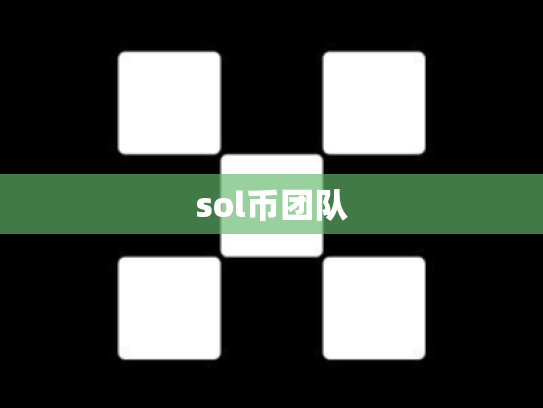 sol币团队