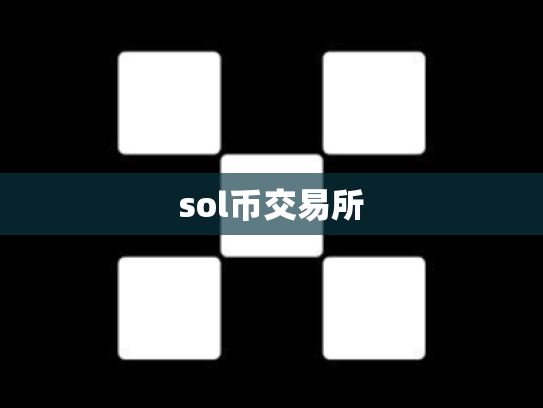 sol币交易所