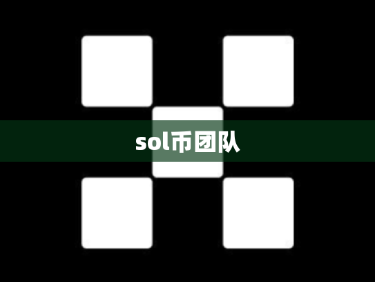 sol币团队