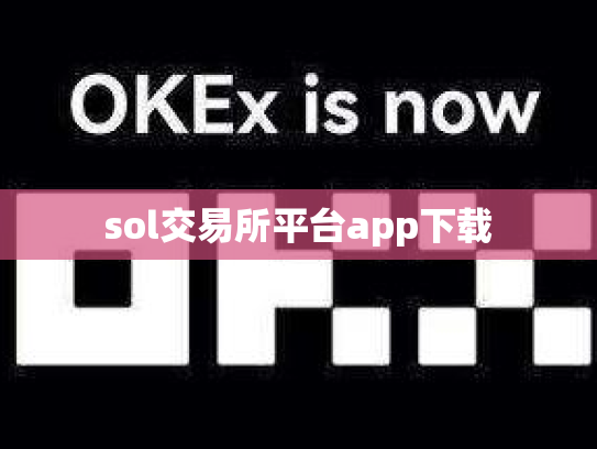 sol交易所平台app下载