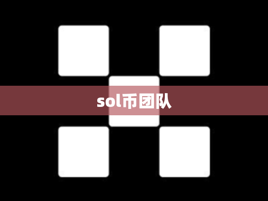 sol币团队