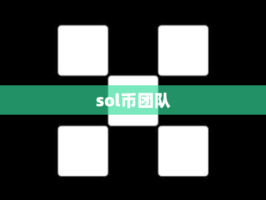 sol币团队