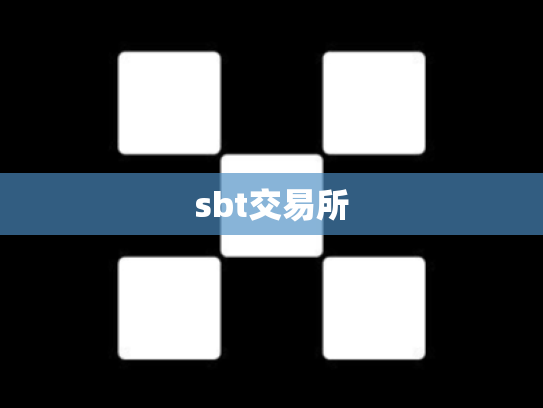 sbt交易所