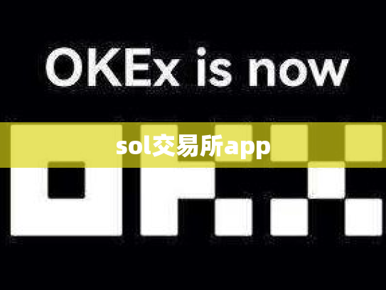 sol交易所app