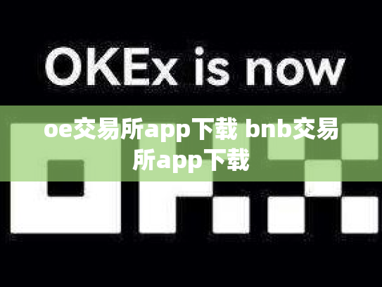 oe交易所app下载 bnb交易所app下载