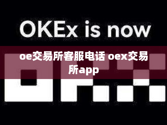 oe交易所客服电话 oex交易所app