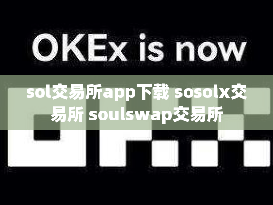 sol交易所app下载 sosolx交易所 soulswap交易所