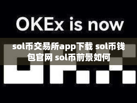sol币交易所app下载 sol币钱包官网 sol币前景如何