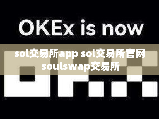 sol交易所app sol交易所官网 soulswap交易所