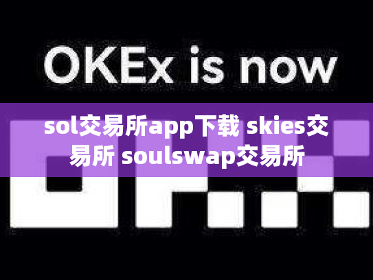 sol交易所app下载 skies交易所 soulswap交易所