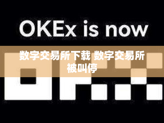 数字交易所下载 数字交易所被叫停