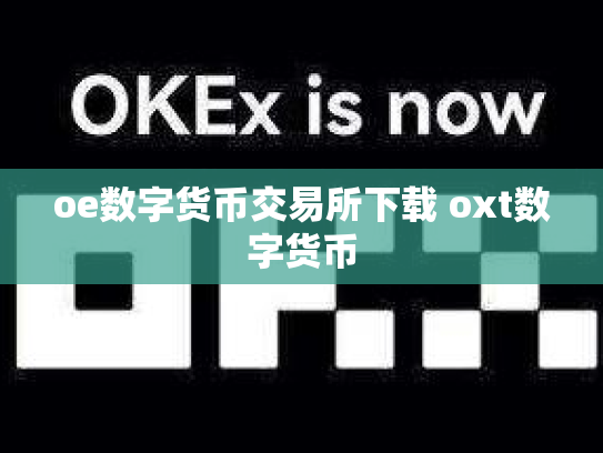 oe数字货币交易所下载 oxt数字货币