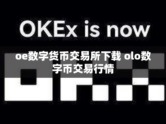 oe数字货币交易所下载 olo数字币交易行情