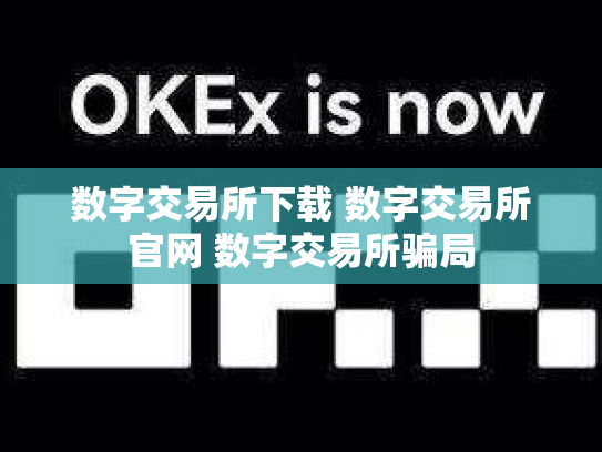 数字交易所下载 数字交易所官网 数字交易所骗局