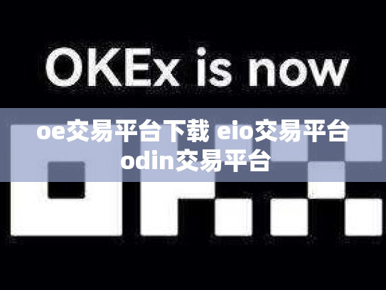oe交易平台下载 eio交易平台 odin交易平台