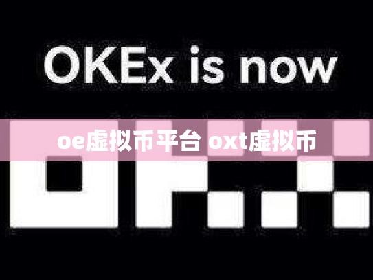 oe虚拟币平台 oxt虚拟币