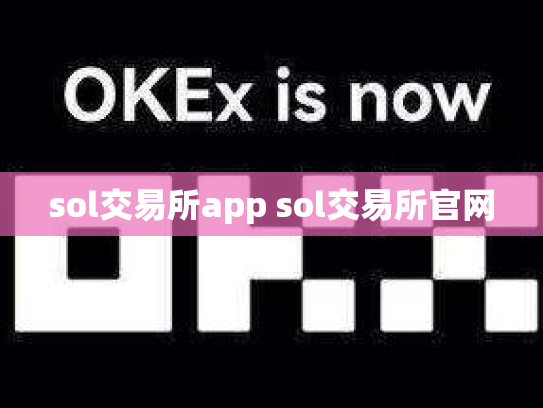 sol交易所app sol交易所官网