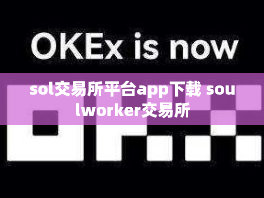 sol交易所平台app下载 soulworker交易所