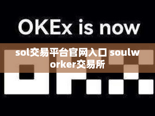 sol交易平台官网入口 soulworker交易所