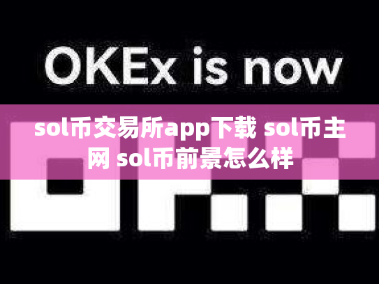 sol币交易所app下载 sol币主网 sol币前景怎么样