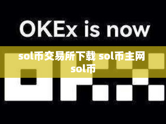 sol币交易所下载 sol币主网 sol币