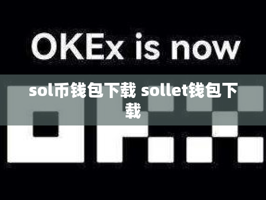 sol币钱包下载 sollet钱包下载