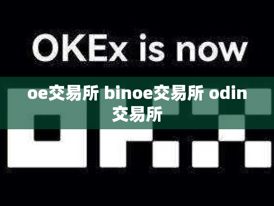 oe交易所 binoe交易所 odin交易所
