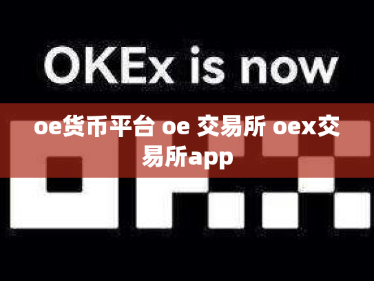 oe货币平台 oe 交易所 oex交易所app