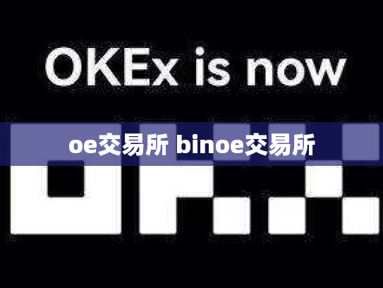 oe交易所 binoe交易所
