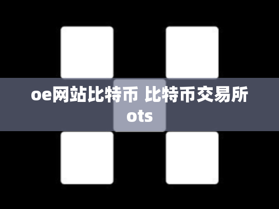 oe网站比特币 比特币交易所ots