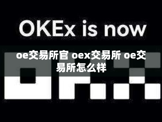 oe交易所官 oex交易所 oe交易所怎么样