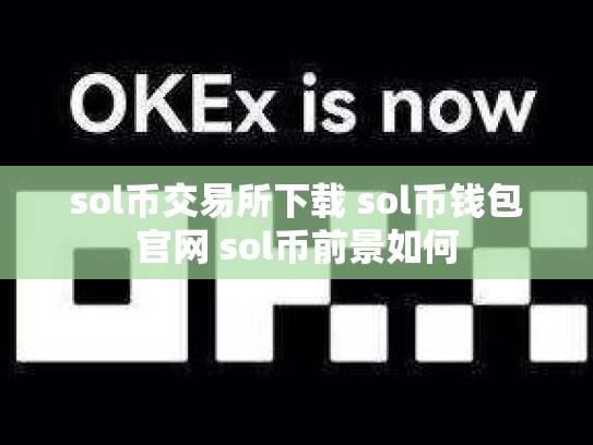 sol币交易所下载 sol币钱包官网 sol币前景如何
