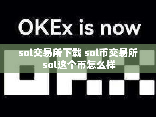 sol交易所下载 sol币交易所 sol这个币怎么样
