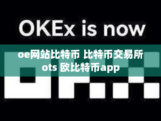 oe网站比特币 比特币交易所ots 欧比特币app