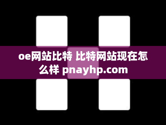 oe网站比特 比特网站现在怎么样 pnayhp.com