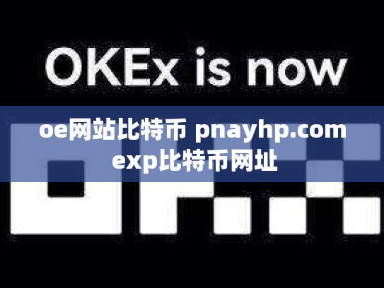 oe网站比特币 pnayhp.com exp比特币网址