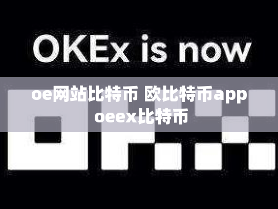oe网站比特币 欧比特币app oeex比特币