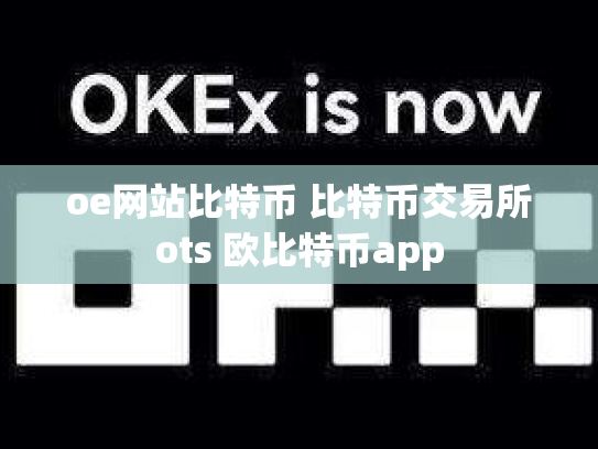 oe网站比特币 比特币交易所ots 欧比特币app