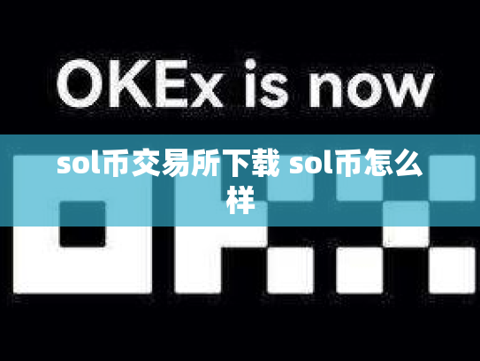 sol币交易所下载 sol币怎么样