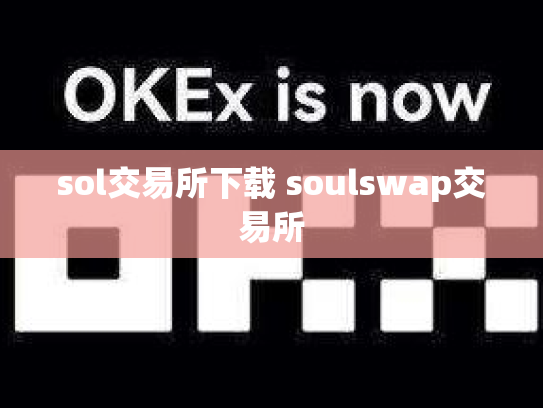 sol交易所下载 soulswap交易所