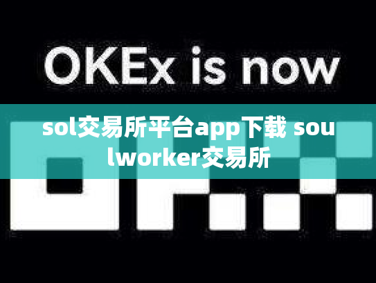 sol交易所平台app下载 soulworker交易所