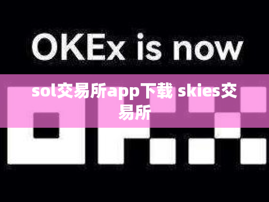sol交易所app下载 skies交易所
