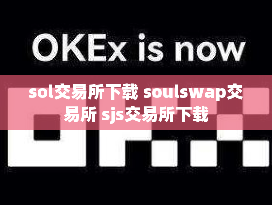 sol交易所下载 soulswap交易所 sjs交易所下载
